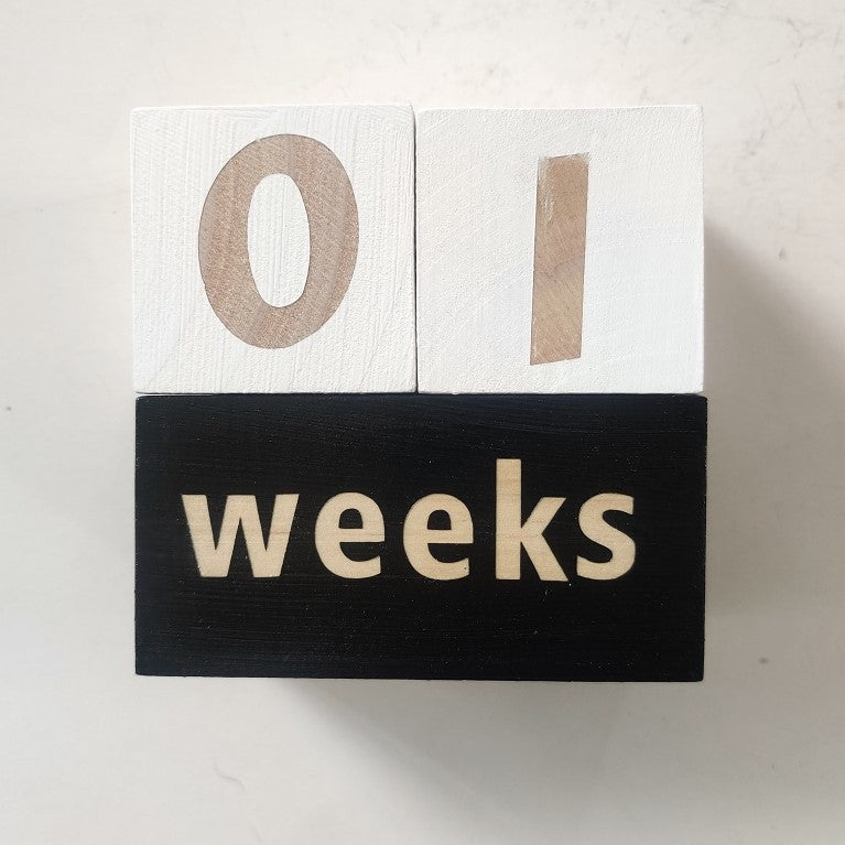 Milestone Blocks - Baby/Maternity Photo Shoot Prop
