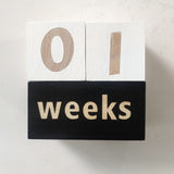 Milestone Blocks - Baby/Maternity Photo Shoot Prop