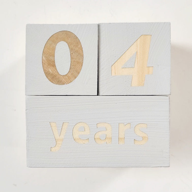 Milestone Blocks - Baby/Maternity Photo Shoot Prop