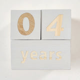 Milestone Blocks - Baby/Maternity Photo Shoot Prop