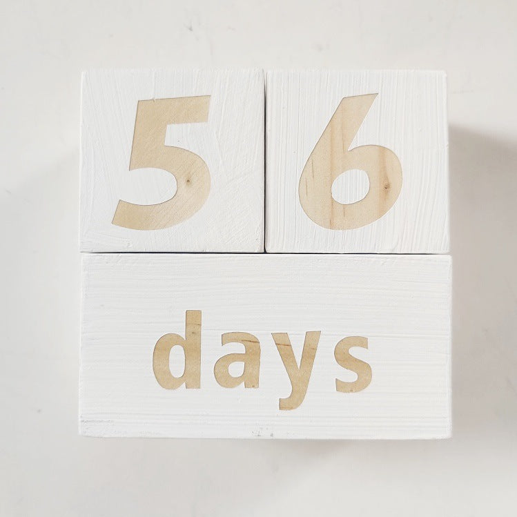 Milestone Blocks - Baby/Maternity Photo Shoot Prop
