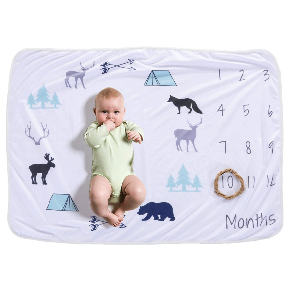 Lil Stuart Monthly Milestone Blanket