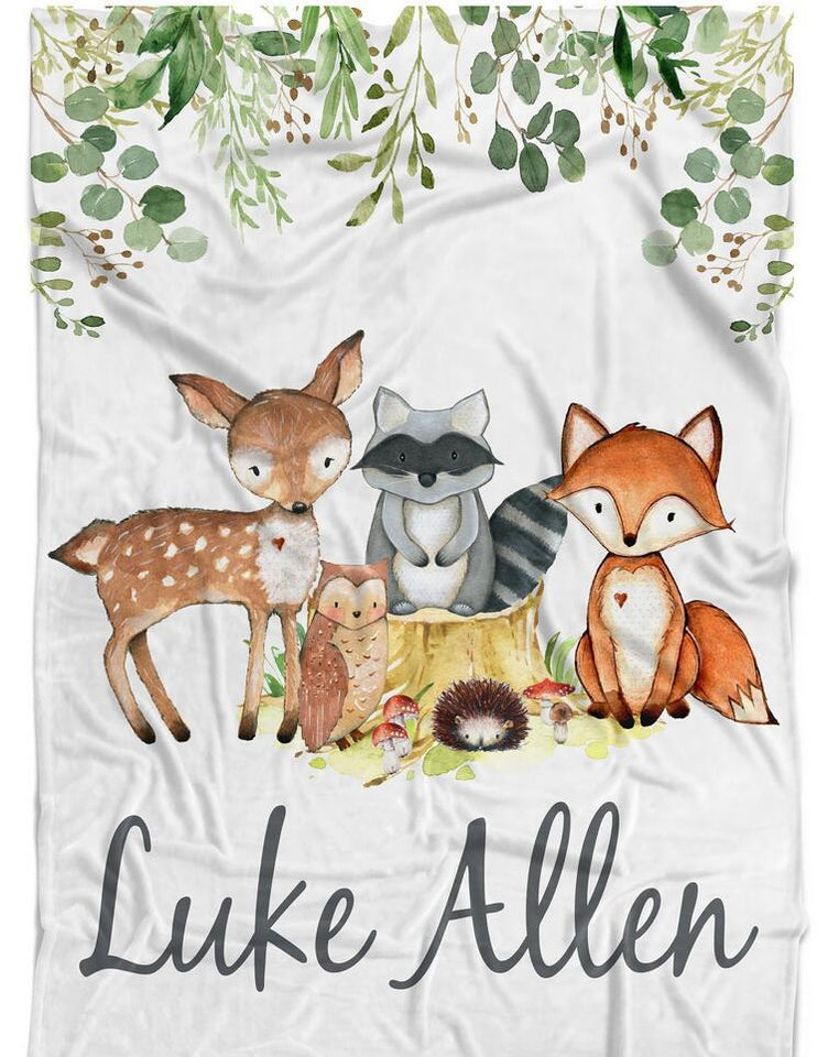 Lil Stuart Monthly Milestone Blanket