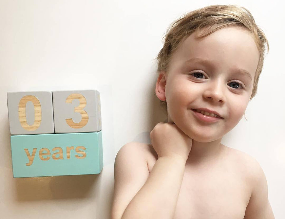 Milestone Blocks - Baby/Maternity Photo Shoot Prop