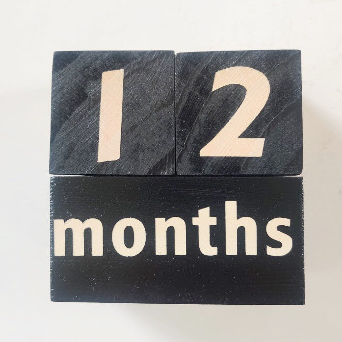 Milestone Blocks - Baby/Maternity Photo Shoot Prop