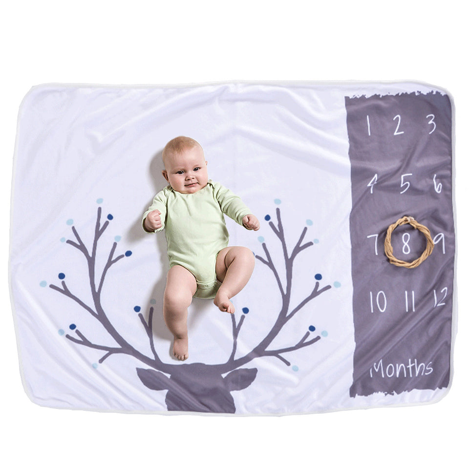 Lil Stuart Monthly Milestone Blanket