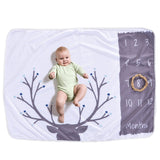 Lil Stuart Monthly Milestone Blanket