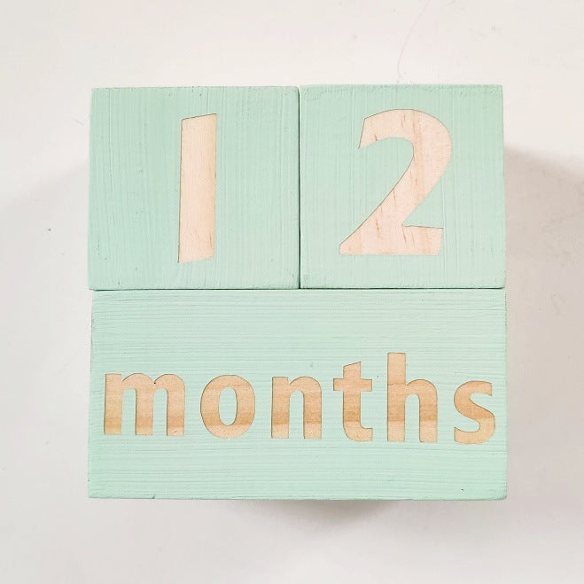 Milestone Blocks - Baby/Maternity Photo Shoot Prop