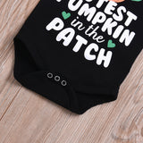 Cutest Pumpkin in the Patch