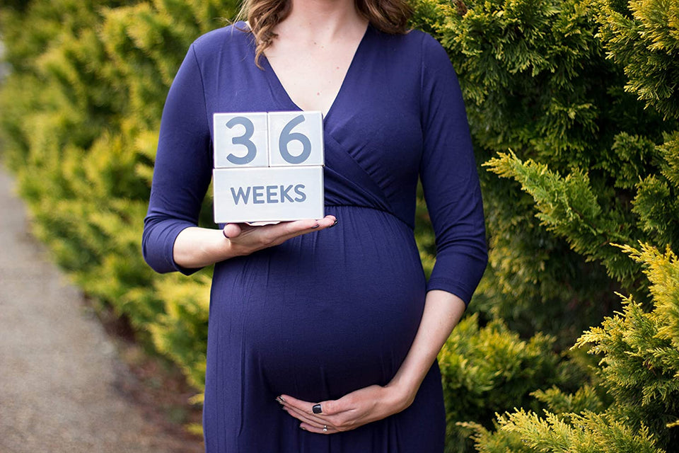 Milestone Blocks - Baby/Maternity Photo Shoot Prop