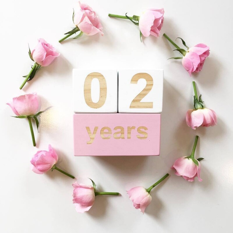 Milestone Blocks - Baby/Maternity Photo Shoot Prop