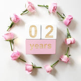 Milestone Blocks - Baby/Maternity Photo Shoot Prop