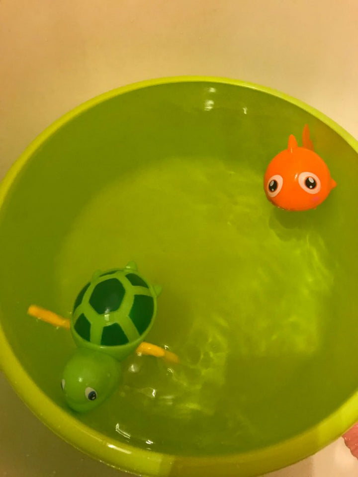 Water Turtle Toys