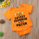 Cutest Pumpkin in the Patch
