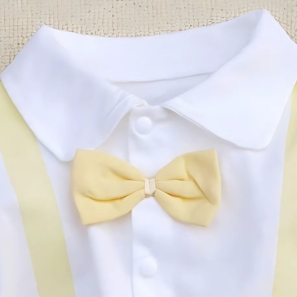 Cute Panda Baby Boys Bow Romper