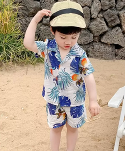 Stylish Vacation Boys Clothing Set by Ju Ju Jam