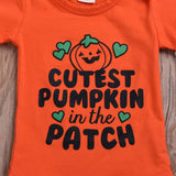 Cutest Pumpkin in the Patch